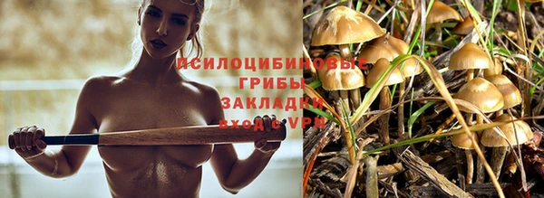 крисы Белокуриха