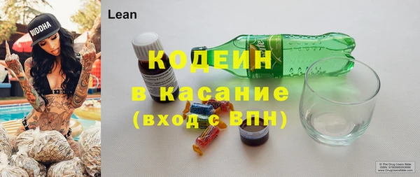 прущие грибы Белоозёрский