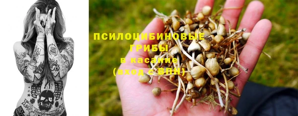 прущие грибы Белоозёрский