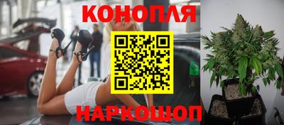 скорость Аргун