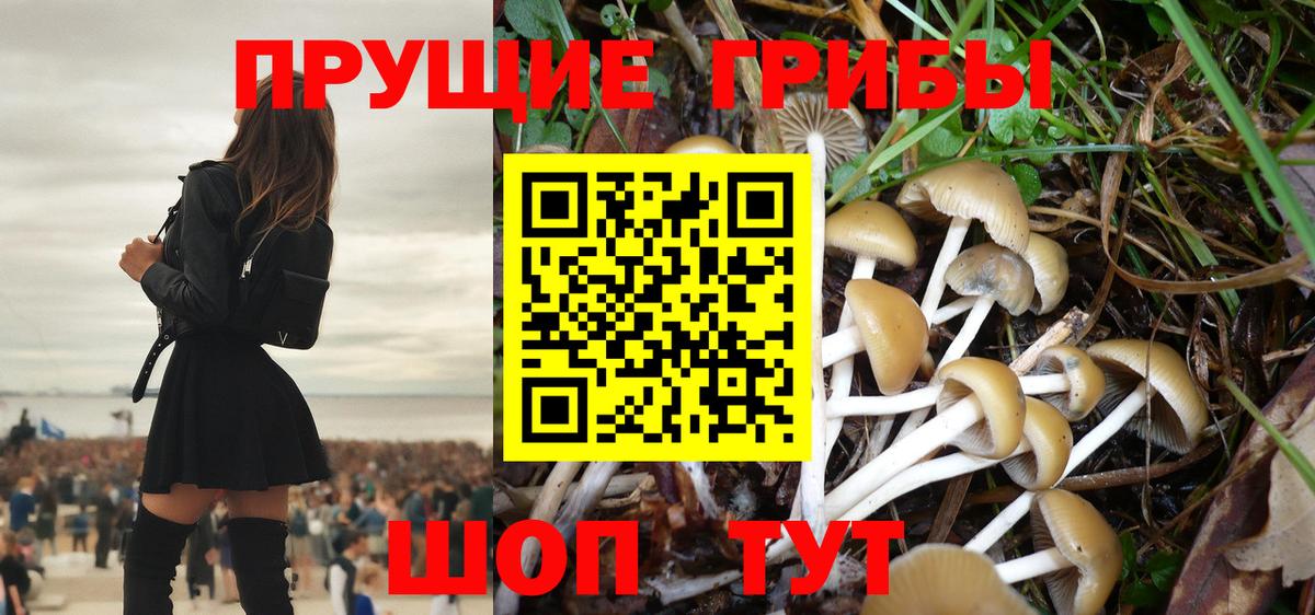 Галлюциногенные грибы Psilocybe  Псилоцибиновые грибы Cubensis  Верхняя Пышма 