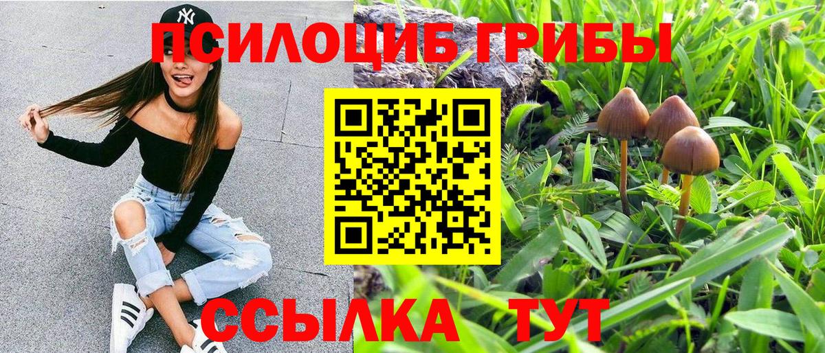 Верхняя Пышма  Псилоцибиновые грибы мицелий  Вход с VPN 